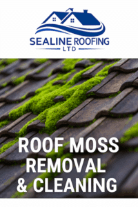 Roof Moss Removal in Astley Cross