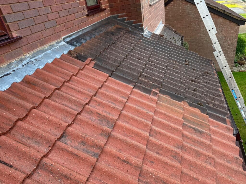 Roof Moss Cleaning Worcester